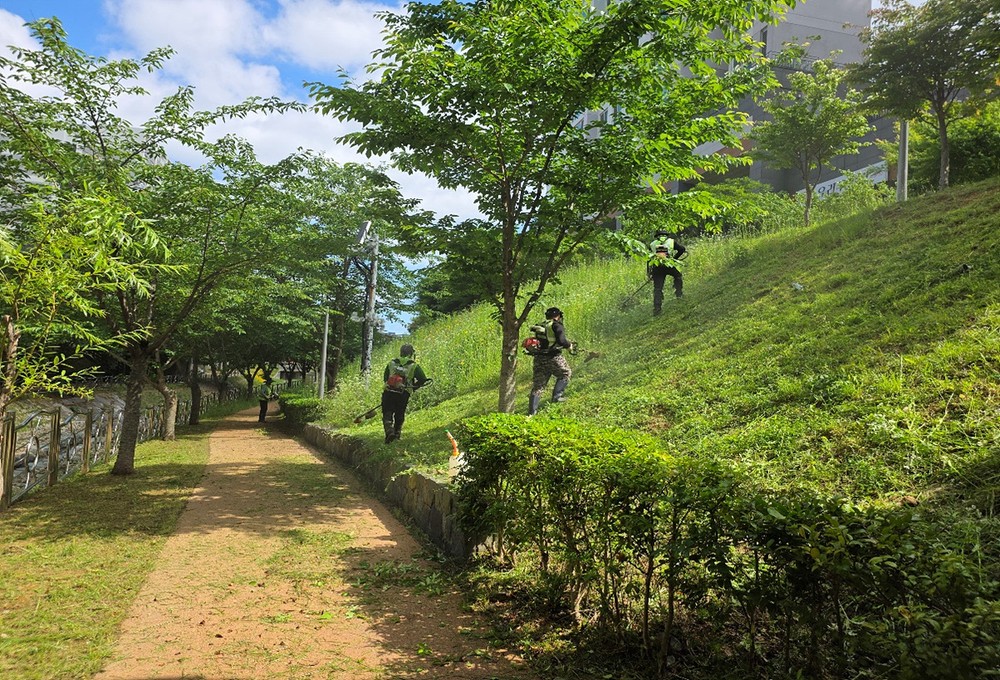 여수시, 체계적인 수목관리로 쾌적한 도시공원 환경 조성