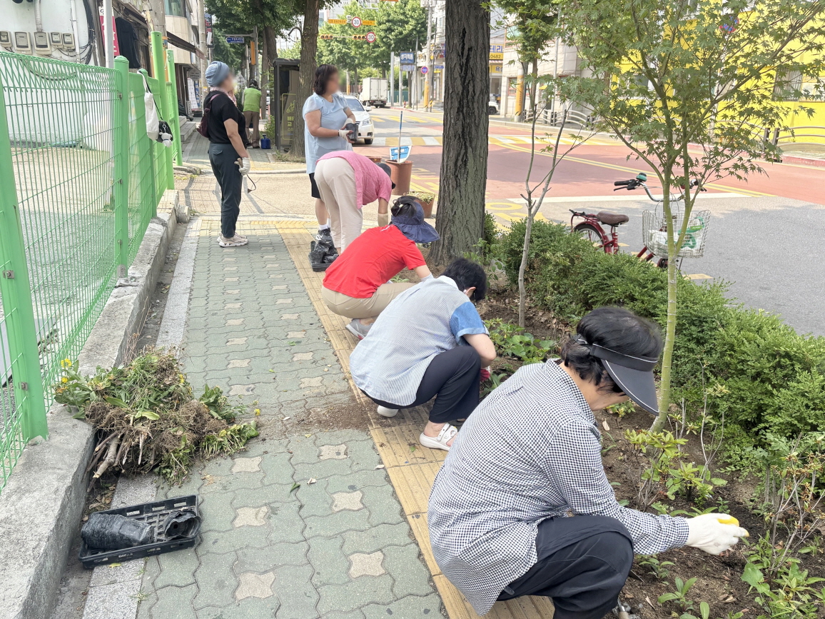 주안5동 주민자치회, 여름꽃 식재로 마을 곳곳에 생기 더해