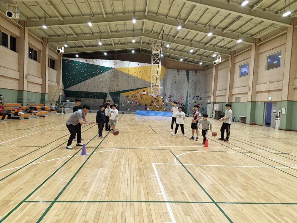 영월군스포츠클럽, 지역특화형 생활체육 프로그램 운영