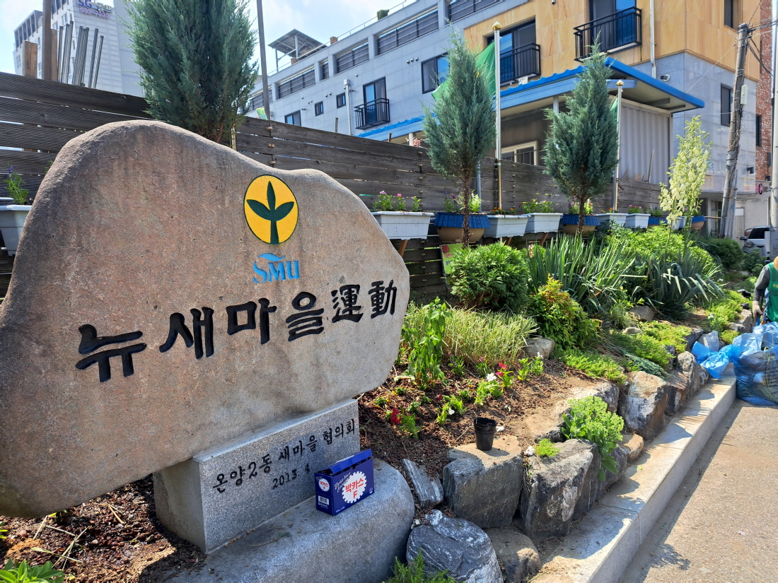 아산시 온양2동 새마을회, 여름꽃 식재로 쾌적한 거리환경 조성