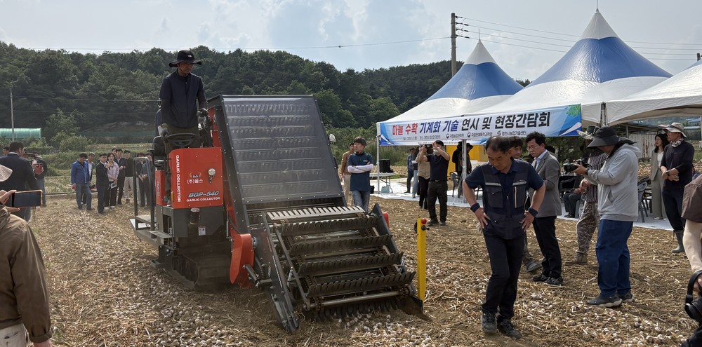영천시, 농촌진흥청과 마늘 수확 기계화 기술 현장 연시회 개최