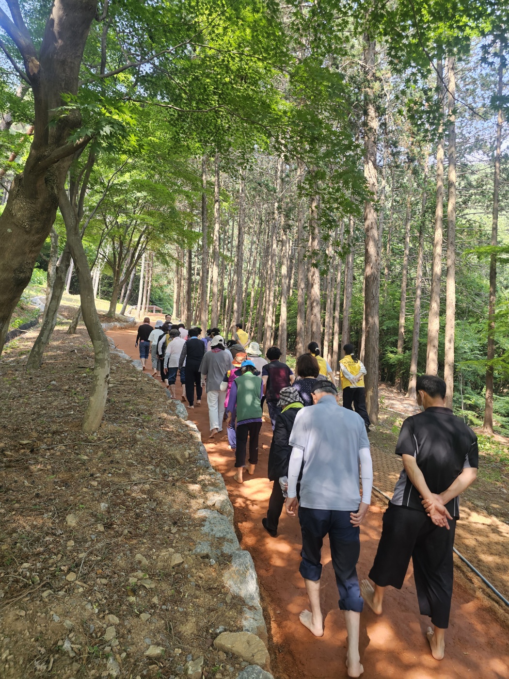 예산군보건소, 향천사 황톳길 맨발걷기 프로그램 운영