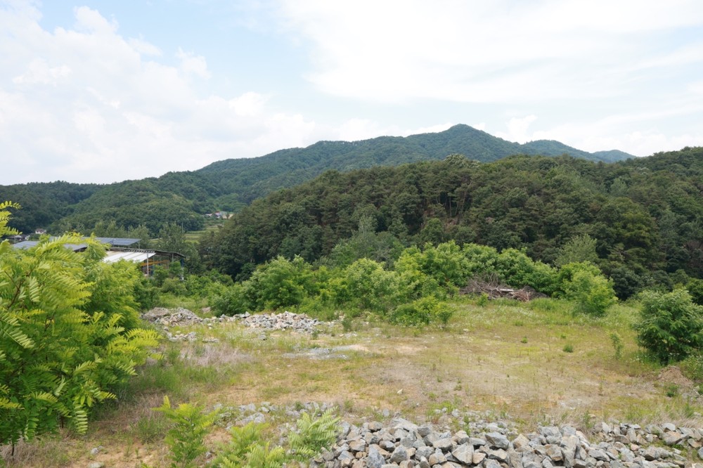 우천면새마을부녀회 반찬나눔 봉사활동