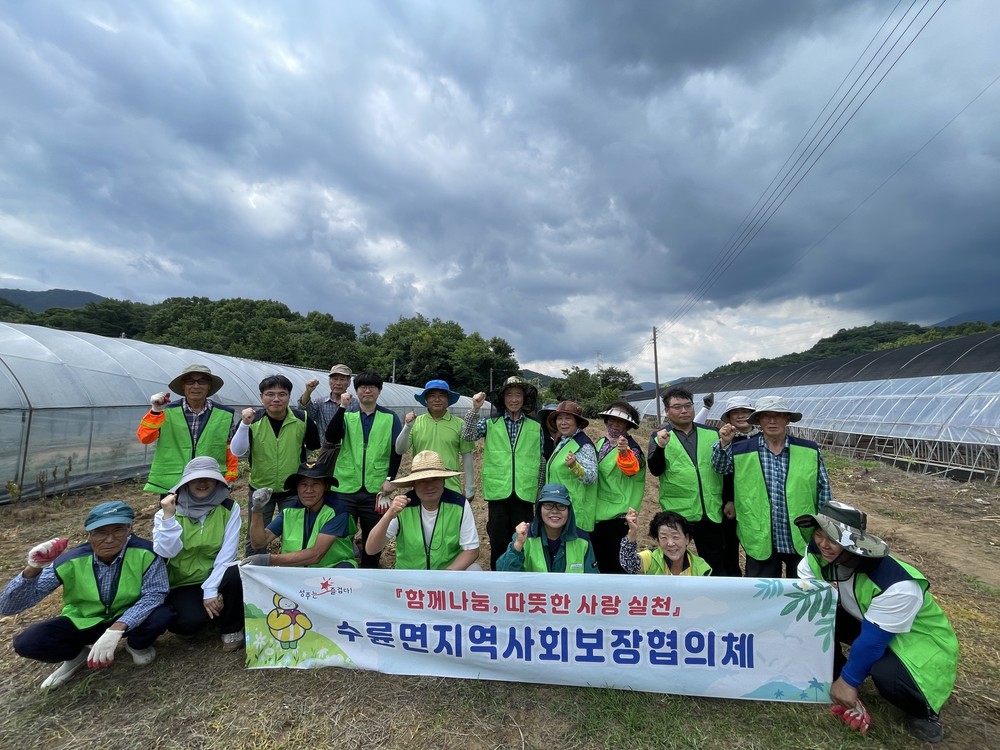 수륜면 지역사회보장협의체 감자 수확