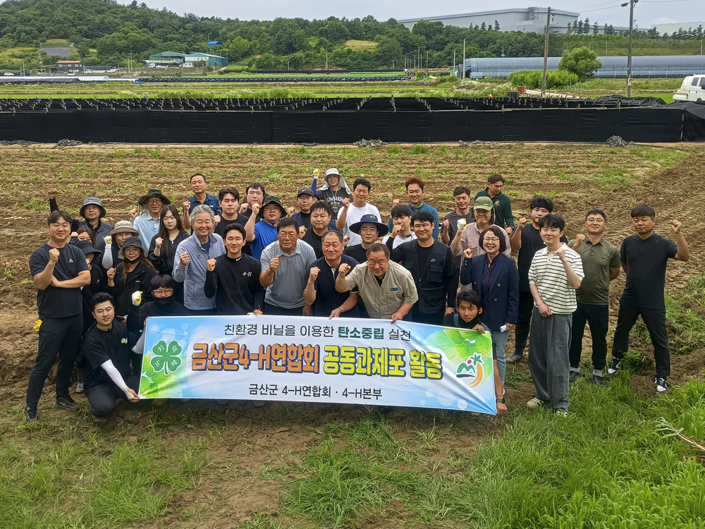 금산군4-에이치(H)연합회, 공동과제포 감자 수확하며 농업 실천 역량 강화