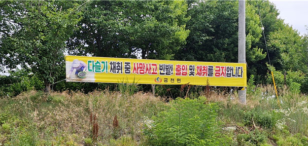 청도군, 여름철 물놀이 및 다슬기 채취 안전사고 예방 총력
