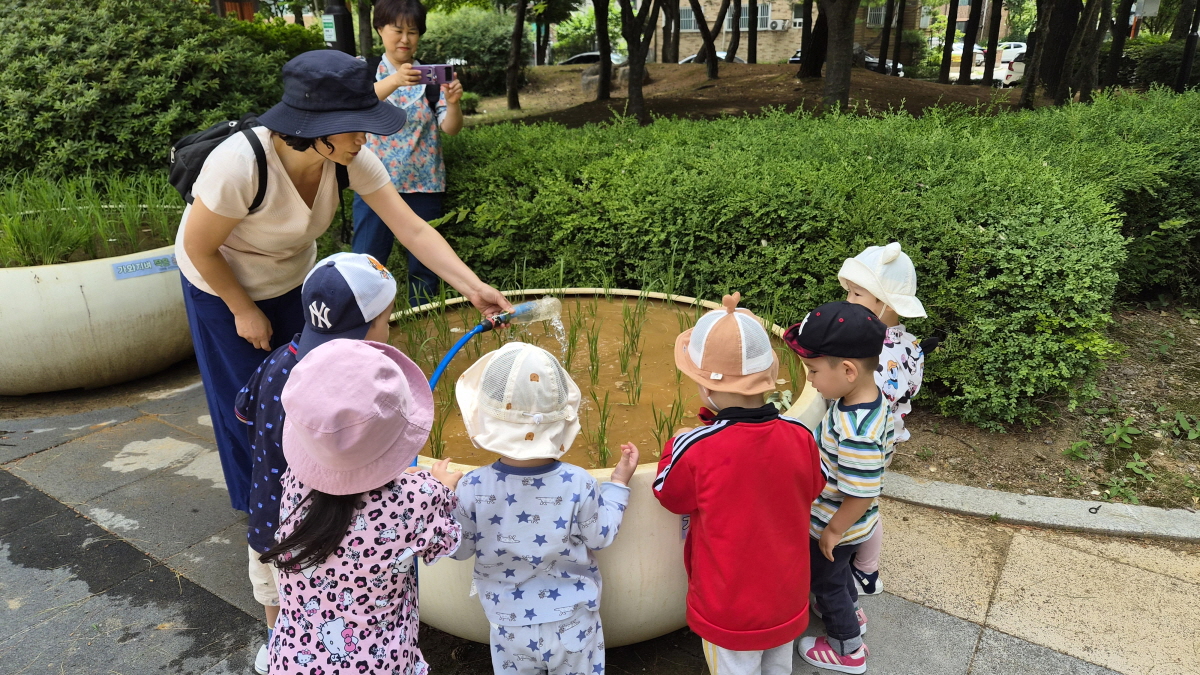 고양시 대화동 주민자치회, 가와지 벼 생장 체험 활동 추진