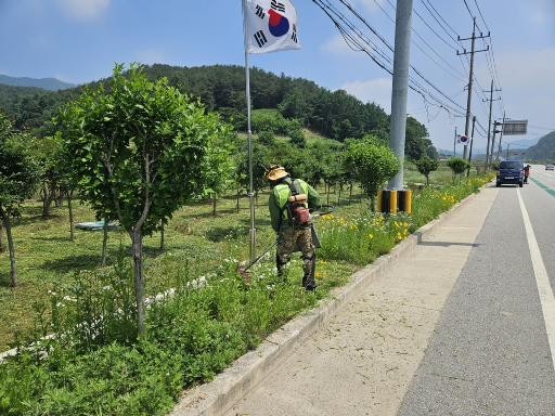 강진면, 현충일 맞이 도로변 풀베기 및 화단 정비 완료