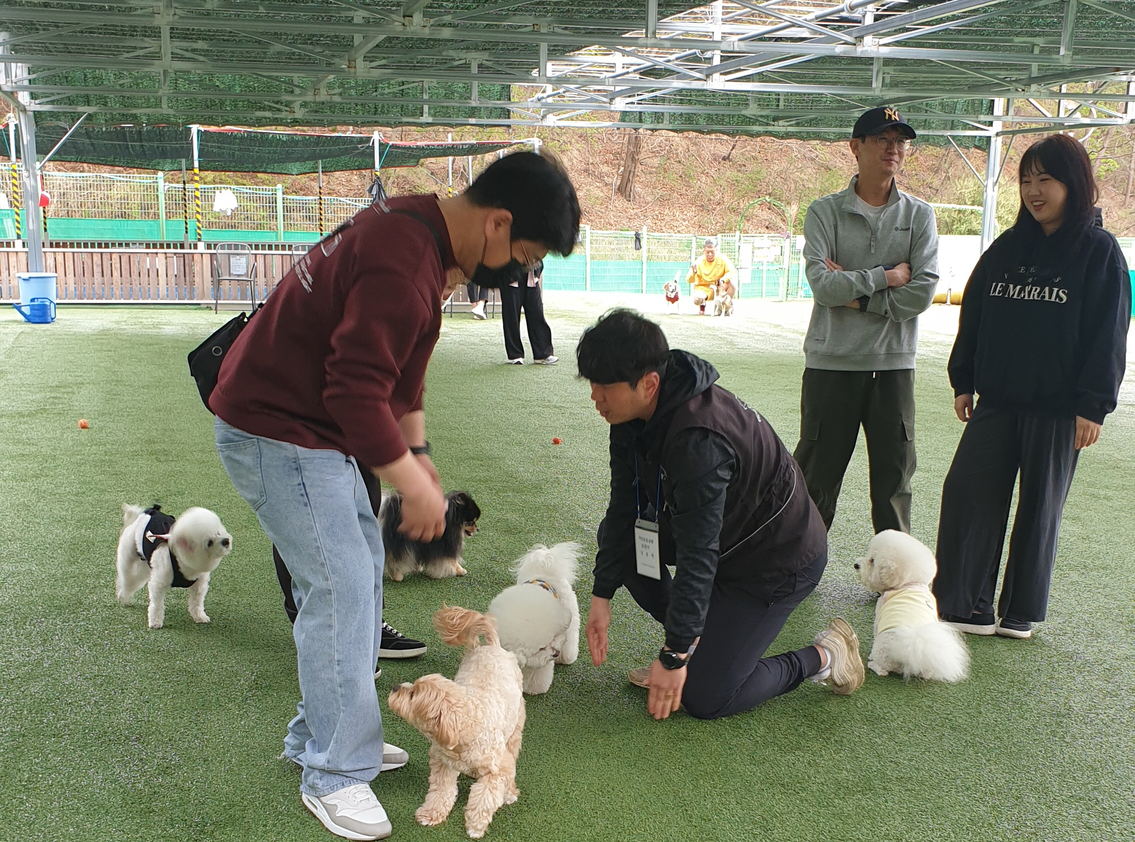 ‘저녁에도 행복하~개 즐겨보~개’ - 남구 애견운동공원, 9일부터 하절기 야간개장