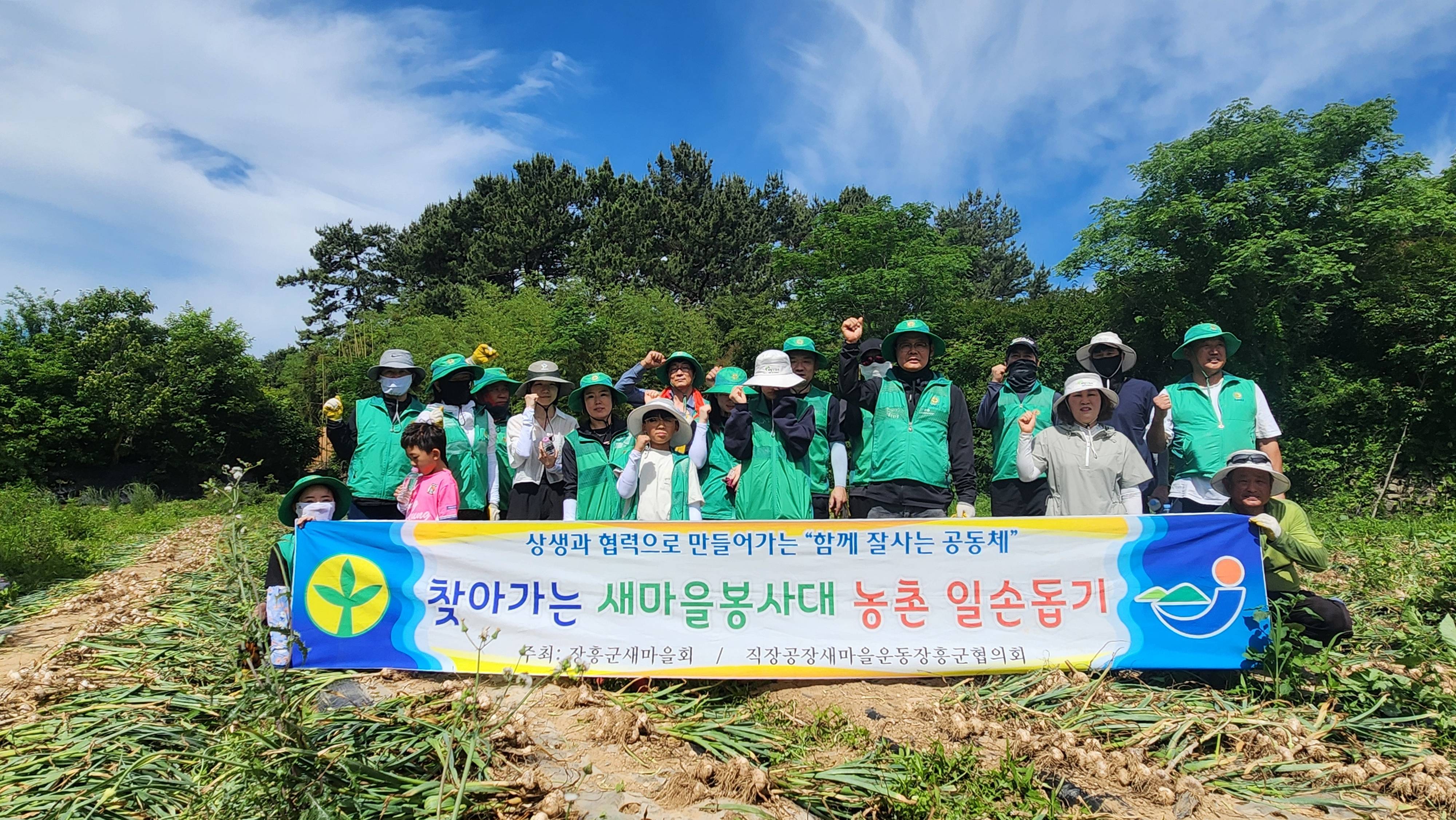 장흥군새마을회 농번기 마늘 수확 영농봉사 펼쳐